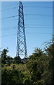 Pylon, Pont Sadwrn, Caerleon