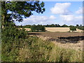 TM2762 : Fields next to  Lampardbrook by Geographer