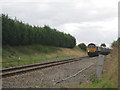 Train at Swinesdyke level crossing