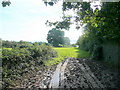 Muddy path to Tidenham