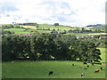 Panorama from Willimoteswick (3: N - Redburn)