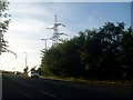 Pylons cross the A724