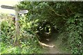 A junction of Footpaths on Milkaway Lane