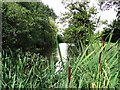 Pond at Stoke Ash, Suffolk