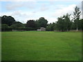 Grazing near Tachbrook Mallory