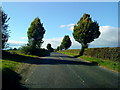 Country lane near Skelton on Ure