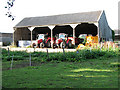 TM0878 : Tractor shed at Hall Farm, Wortham by Evelyn Simak