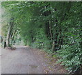 Lordswood Lane, Lordswood