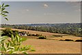 View of Hemel Hempstead down the Gade Valley