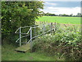 Footbridge near Brattle Farm