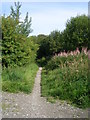 Footpath - Acre Lane