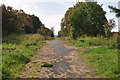 Path near Loudon Pond Nature Reserve