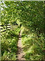 Footpath from New Road to the footbridge over the M61