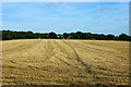 Footpath across a harvested field