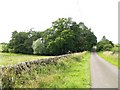 Road and small wood near Ernfillan Hill