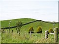 Crabtree Hill, Nether Ernambrie