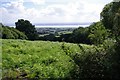 View South East from The Tumps towards the Severn