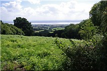 SO5700 : View South East from The Tumps towards the Severn by Pat Macleod