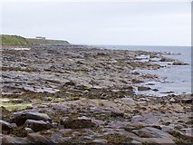 ND3773 : Rocky foreshore west of John O'Groats Harbour by David Martin