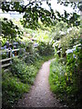 The South West Coast Path coming out of Mevagissey northwards