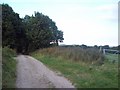 Sandy Lane near Burncross