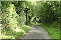 2010 : The lane to Nettleton Mill