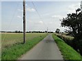 Telegraph poles lining the road