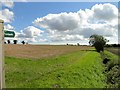 Footpath beside the field