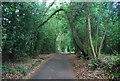 Sussex Border Path west of Marley Lane