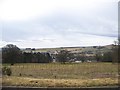 The view from Tulloch Castle