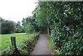 Footpath across Montreal Park