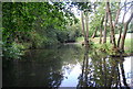 Small lake in Montreal Park