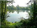 Fishing pond by the Severn