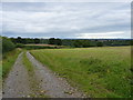 Caughley Road and the Severn Gorge