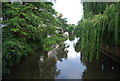 River Wey from Town Bridge