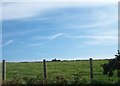 Farm land at Bryn Farm