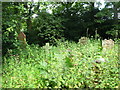 NY8465 : Haydon Old Church - graveyard (2) by Mike Quinn