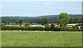 2010 : East Forest Farm with flock