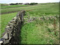 Footpath near Rough Hey Cottage towards Rooden Reservoir