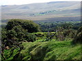 Curious field boundaries, and distant Hafod Tydfil