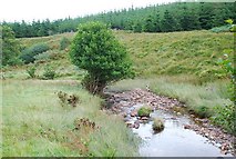 NR8478 : River in Gleann dà Leirg by Patrick Mackie