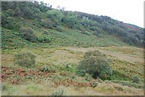 NR8378 : Wooded slopes of Gleann dà Leirg by Patrick Mackie