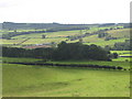 The valley of the River South Tyne near Lipwood Well