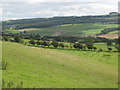 The valley of the River South Tyne east of Haydon Bridge