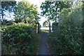 Footpath off the Downs Link