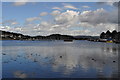 Tarbert Harbour