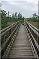 Footbridge Across a Boggy Bit