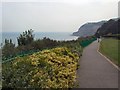 Cliff Top Path - Shanklin