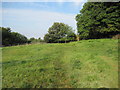 Footpath  into  High  Kilburn