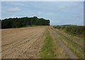 Track across open fields